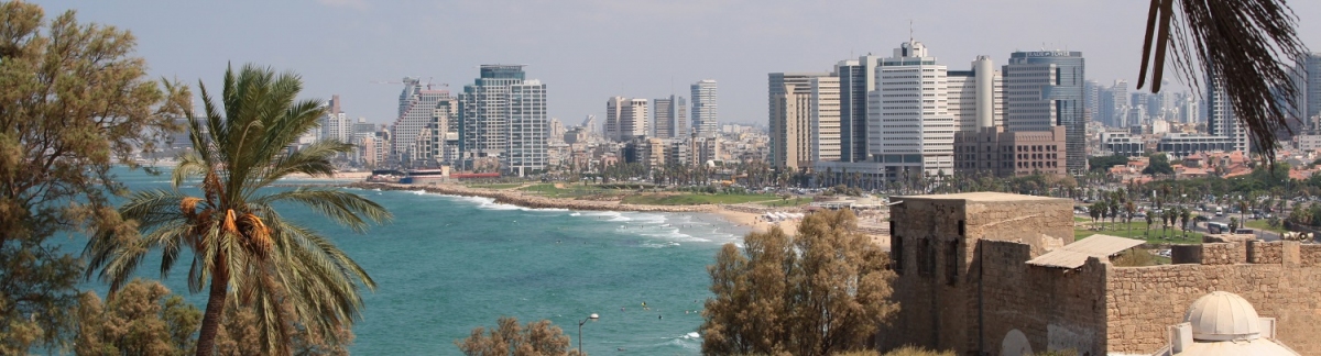 Panorama Tel Aviv (Alexander Mirschel)  Copyright 
Información sobre la licencia en 'Verificación de las fuentes de la imagen'